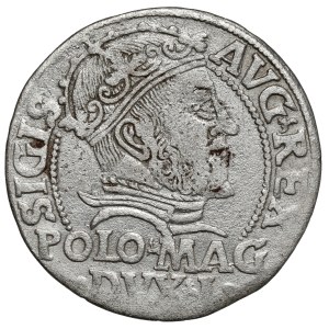 Sigismund II Augustus, Grosz per Polish foot 1547, Vilnius