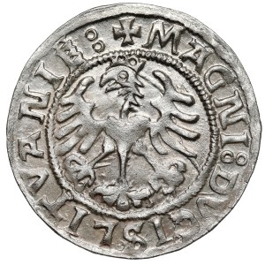 Sigismund I. der Alte, halber Pfennig Vilnius 1521 - SIGISMVND