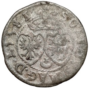Stefan Batory, Szeląg Wilno 1581 - STRPA