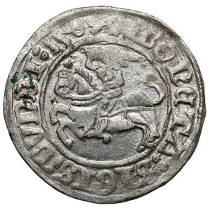 Sigismund I the Old, Half-penny Vilnius 1509 - ring on the head