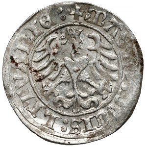 Sigismund I the Old, Half-penny Vilnius 1509 - ring on the head