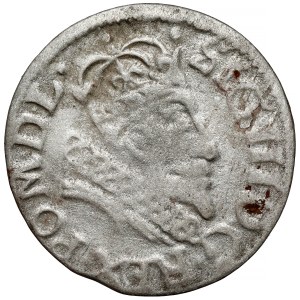Sigismund III Vasa, Penny Vilnius 1607