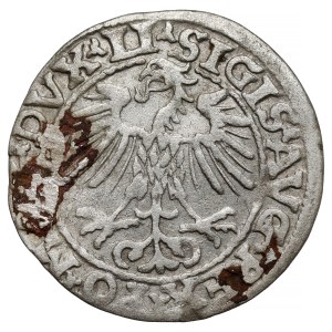 Sigismund II Augustus, Half-grosz Vilnius 1553