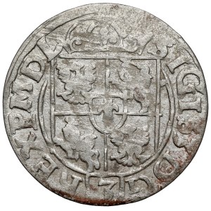 Zikmund III Vasa, polopás Bydgoszcz 1617 - SIGIS - RZADKI