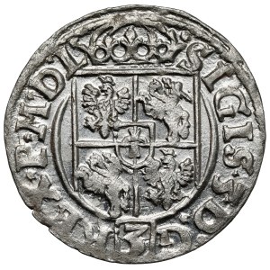 Žigmund III Vasa, poltopánka Bydgoszcz 1619 - krásna