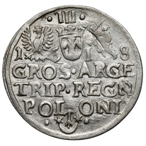 Zikmund III Vasa, Trojak Krakov 1618