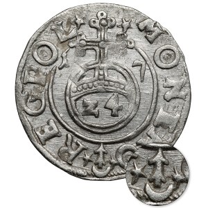 Sigismund III Vasa, Half-track Bydgoszcz 1617 - Saxon without shield