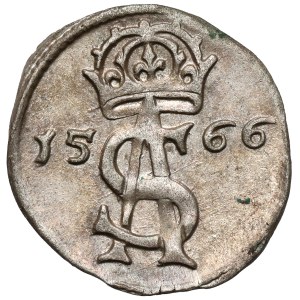Sigismund II Augustus, Dwudenar Vilnius 1566
