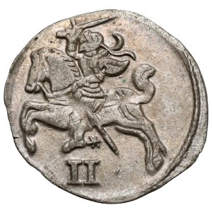 Sigismund II Augustus, Dwudenar Vilnius 1566