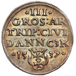 Sigismund I the Old, Troika Gdansk 1537 - early