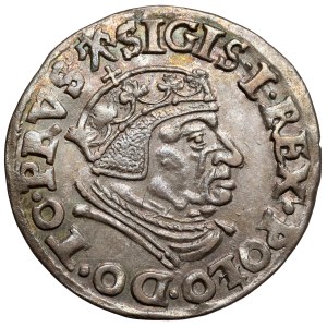 Sigismondo I il Vecchio, Trojak Danzica 1538