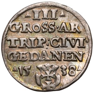Sigismondo I il Vecchio, Trojak Danzica 1538