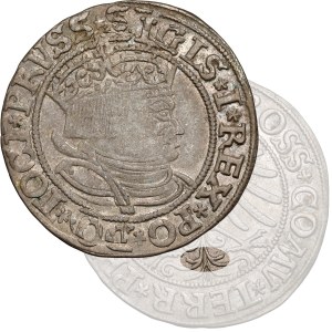 Zikmund I. Starý, Grosz Toruń 1533 - doplňková pera