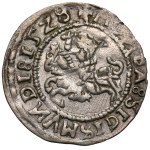 Sigismond Ier l'Ancien, demi-penny Vilnius 1528 - erreur MONEA