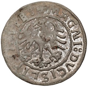 Sigismund I the Old, Half-penny Vilnius 1521 - WITHOUT punctuation after DVCIS