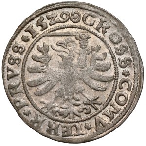 Sigismund I the Old, Grosz Toruń 1529