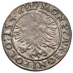 Sigismund I the Old, Penny Cracow 1546 ST - REGNIPOLO