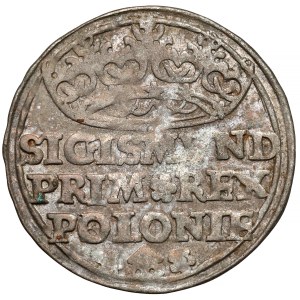 Zikmund I. Starý, Grosz Krakov 1529 - PR/OLONIE