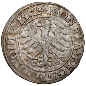 Zikmund I. Starý, Grosz Krakov 1529 - PR/OLONIE