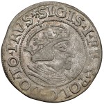 Zikmund I. Starý, gdaňský groš 1548 - nejvzácnější ročník