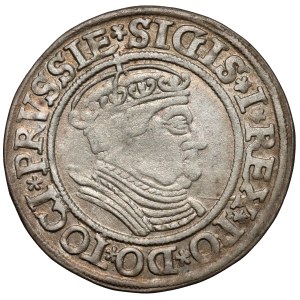 Žigmund I. Starý, Grosz Toruń 1534 - v čiapke