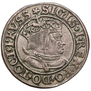 Zygmunt I Stary, Grosz Toruń 1534 - wczesny