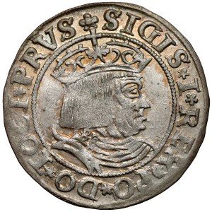 Zikmund I. Starý, Toruň Penny 1531 - začátek