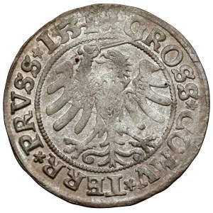 Zikmund I. Starý, Toruň Penny 1531 - začátek