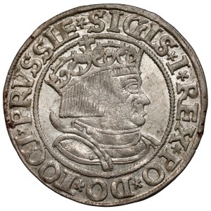 Sigismund I the Old, Penny of Toruń 1534 - early