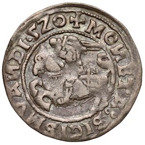 Sigismondo I il Vecchio, mezzo penny Vilnius 1520 - data abbreviata