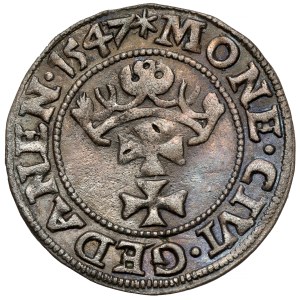 Zygmunt I Stary, Szeląg Gdańsk 1547 - gwiazdy
