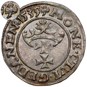 Sigismund I the Old, Shelrog Gdansk 1539 - simple - beautiful