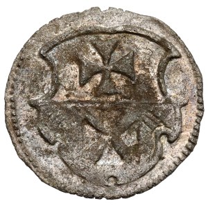 Sigismund I. der Alte, Elbląg Denar ohne Datum