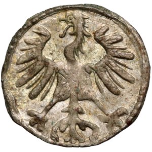 Sigismund II Augustus, Vilnius Denarius 1555