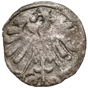Sigismund II Augustus, Vilnius Denarius 1558