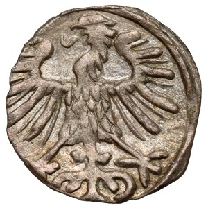 Sigismund II Augustus, Vilnius Denarius 1557