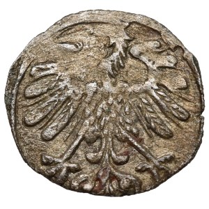 Sigismund II Augustus, Vilnius Denarius 1558