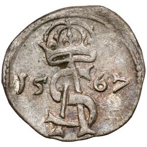 Zygmunt II August, Dwudenar Wilno 1567
