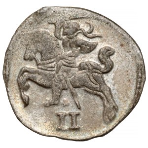 Zygmunt II August, Dwudenar Wilno 1567