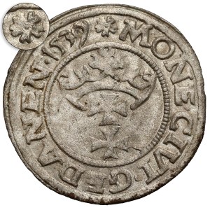 Zygmunt I Stary, Szeląg Gdańsk 1539 - rozetka