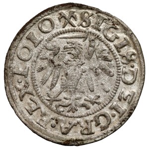 Zygmunt I Stary, Szeląg Gdańsk 1539 - rozetka