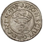 Zygmunt I Stary, Szeląg Gdańsk 1539 - rozetka