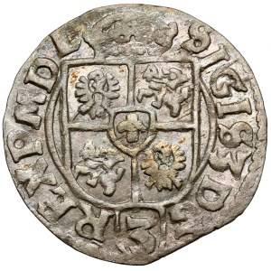 Žigmund III Vasa, poltopánka Bydgoszcz 1614 - SIGIS / POL