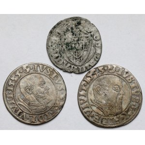Teutonic Order and Prussia, Mikhail Kuchmeister, Shelag and Albrecht Hohenzollern, Grosz 1535-1545 - set (3pcs)