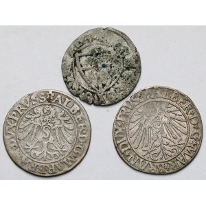 Teutonic Order and Prussia, Mikhail Kuchmeister, Shelag and Albrecht Hohenzollern, Grosz 1535-1545 - set (3pcs)