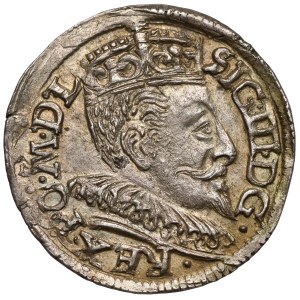 Sigismund III Vasa, Troika Vilnius 1593 - Dyla