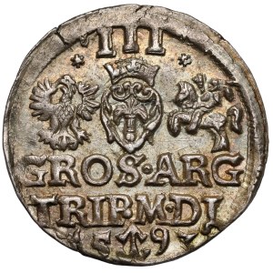 Sigismund III Vasa, Troika Vilnius 1593 - Dyla