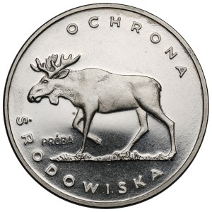 NIKIEL 100 gold sample 1978 Moose