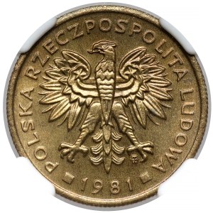 2 gold 1981