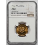 5 gold 1977